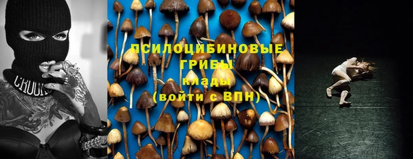 ПСИЛОЦИБИНОВЫЕ ГРИБЫ Алексин