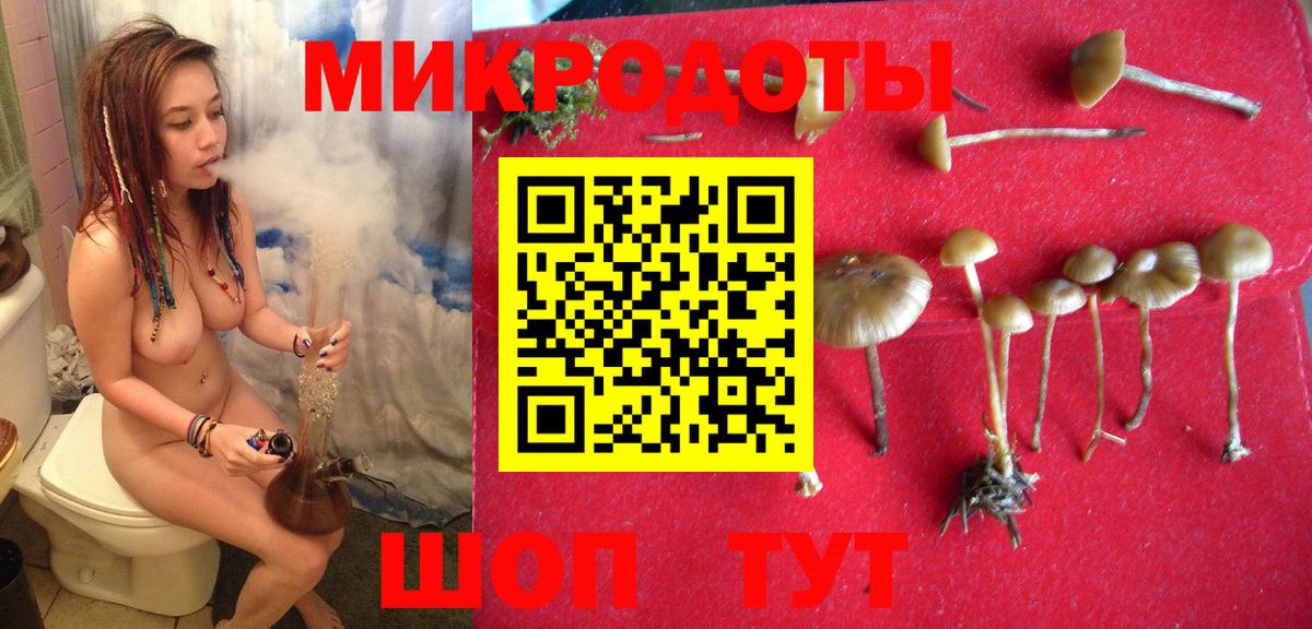 Сочи  Галлюциногенные грибы Magic Shrooms  Вход с VPN 